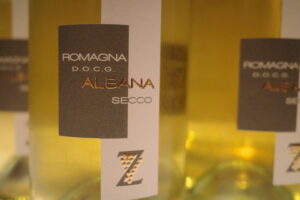 白ワインロマーニャ・アルバーナ D.O.C.G. 2023
